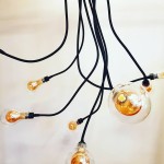 BETULA 3.jpg